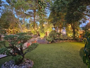 Paket Wedding di Thegeladeri Update 2025